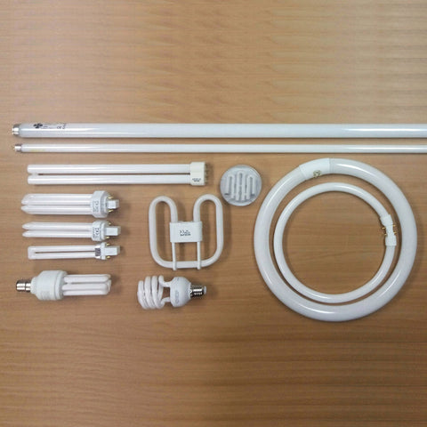 Fluorescent Bulbs