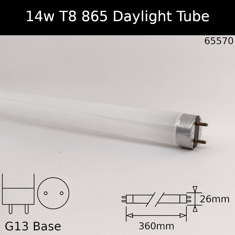 T8 Fluorescent tube