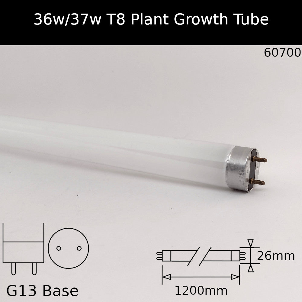 Fluorescent Tube Plant Growth