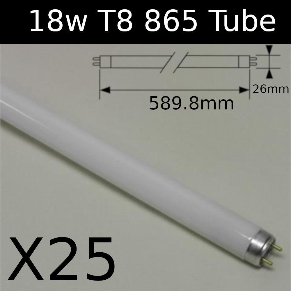 T8 Fluorescent tube