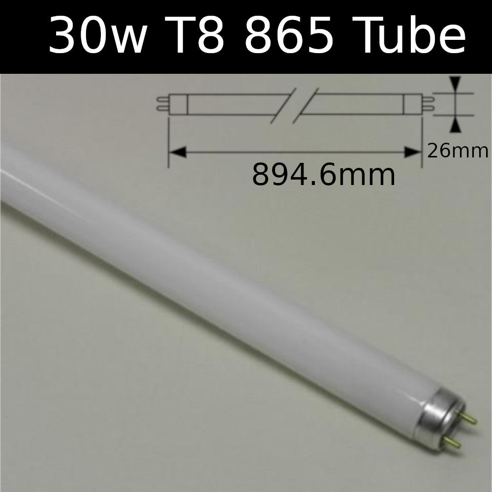 T8 Fluorescent tube