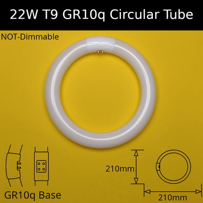 22W T9 GR10q Circular Tube