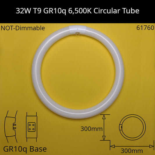 32W T9 GR10q 6,500K Daylight 865 Circular Tube