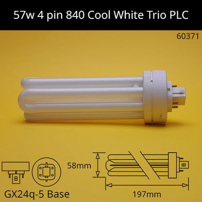 Fluorescent PLC