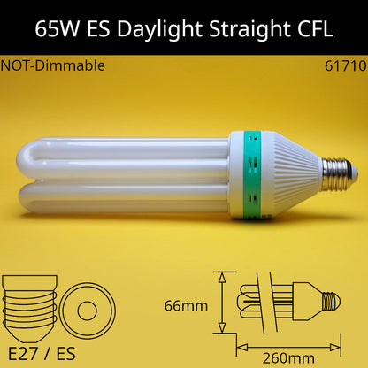 Compact Fluorescent Straight