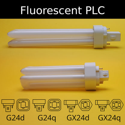 Fluorescent PLC