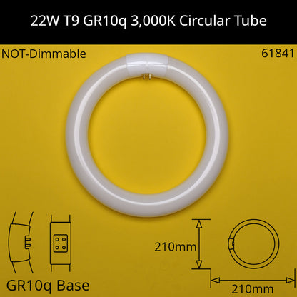 T9 Fluorescent  Circular Tube