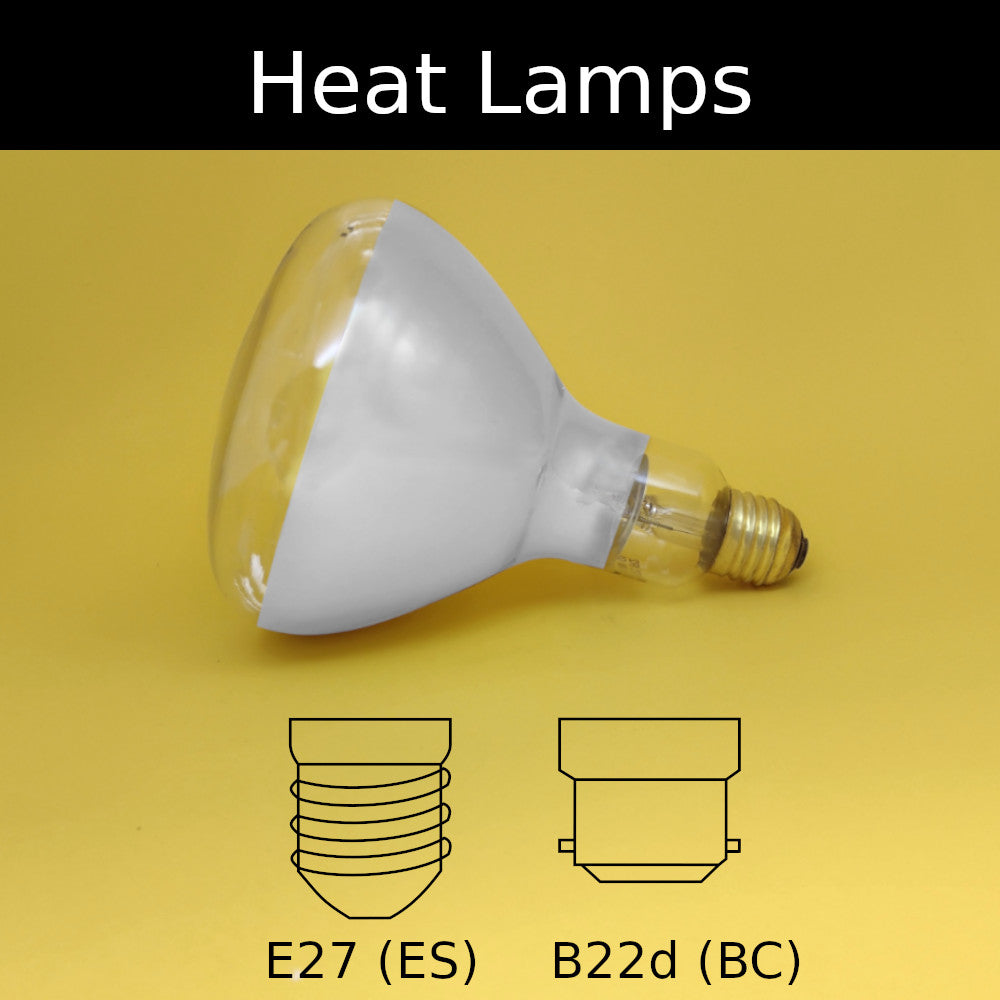 Heat Lamps – The Lightbulb Man