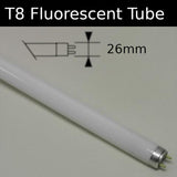 T8 Fluorescent tube